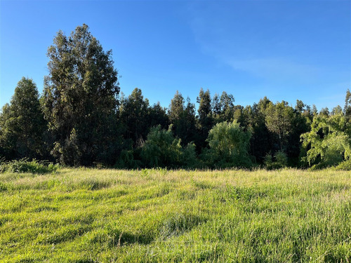Parcela De 2,5 Hectáreas En Venta, Comuna De Río Claro