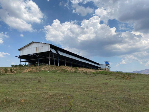 Imagen 12 de 14 de Venta Granja Automatizada Tacarigua