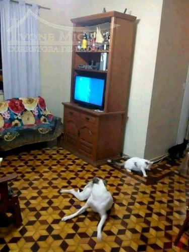 Imagem 5 de 9 de Apartamento Em Higienópolis - Rio De Janeiro - 2431
