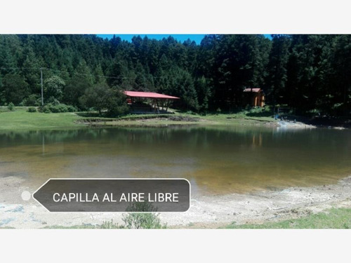 Imagen 11 de 12 de Terreno En Venta Lotes En Precioso Bosque Con Amenidades, Propiedad En Regla