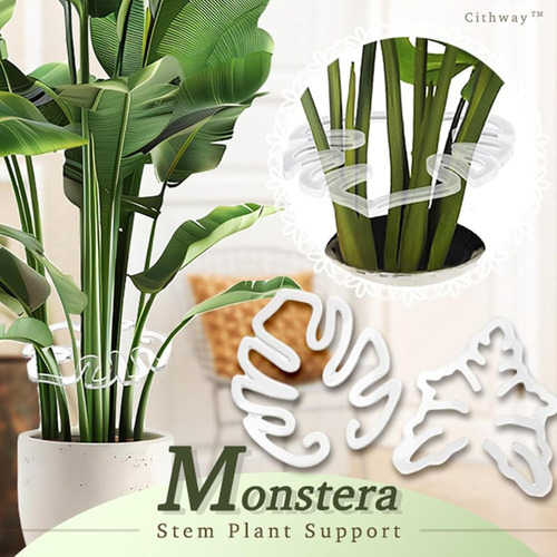 Soporte De Tallo Cityway Lanvisible Plant Pro