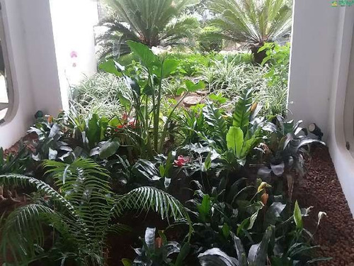 Imagem 26 de 30 de Venda Apartamento 4 Dormitórios Vila Galvão Guarulhos R$ 1.100.000,00 - 31161v
