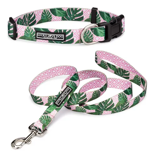 Lucky love dog collars hotsell