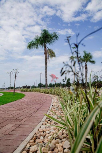 Imagem 6 de 30 de Terreno À Venda, 401 M² Por R$ 134.284,50 - Jardim América - Passo De Torres/sc - Te0728