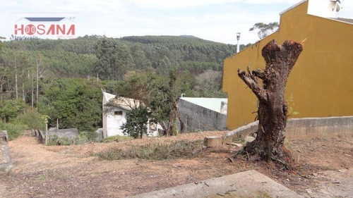 Imagem 3 de 7 de Terreno Residencial À Venda, Nova Caieiras, Caieiras. - Te0206