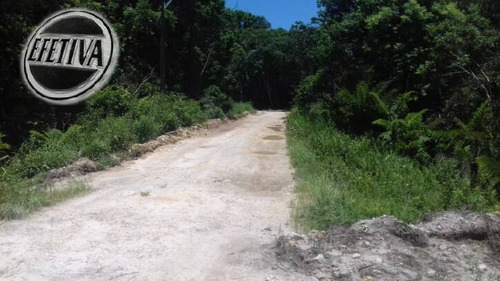 Terreno 448m²- Castel Novo- Guaratuba Pr - 996t