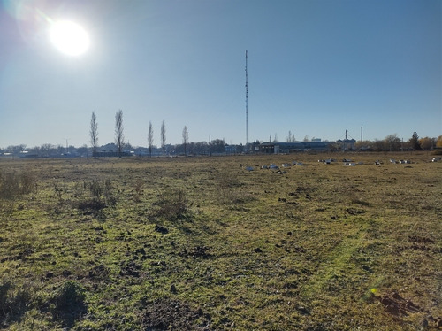 Chacra 3 Hectáreas / Salen 50 Lotes / Zona Urbana