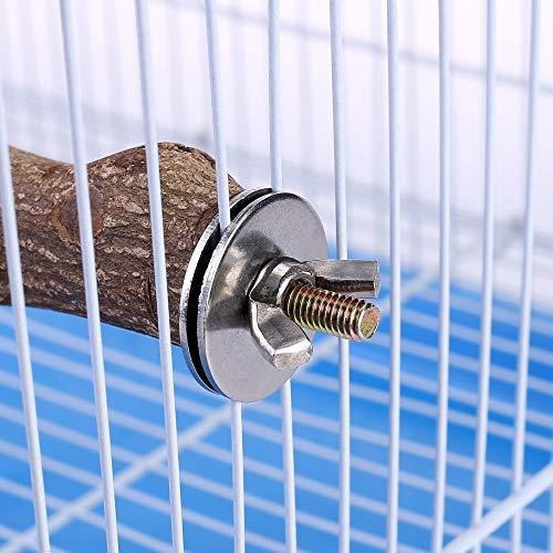 Soporte Ave Soporte De Percha Para Pájaros De Madera Natura
