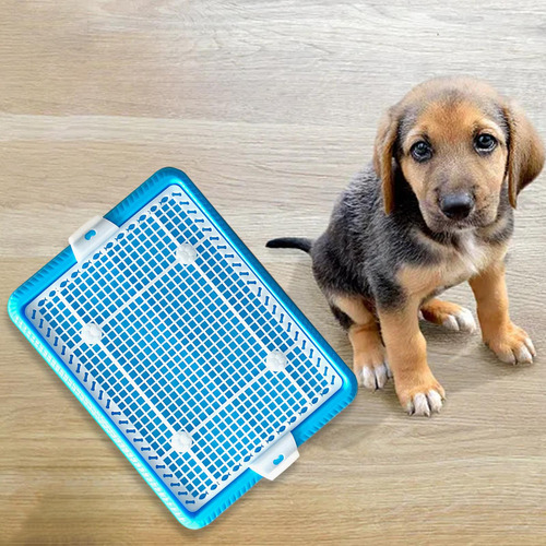 Bandeja Para Orinal Para Perros Y Cachorros, Bandeja De Azul