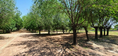 Imagen 5 de 27 de Venta Lotes Los Fresnos Barrio Cerrado Privado, Virrey Del Pino, La Matanza