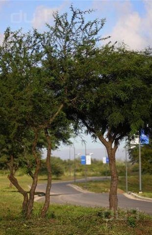 Imagen 19 de 22 de Venta De Duplex En Miradores De Manantiales A Estrenar!