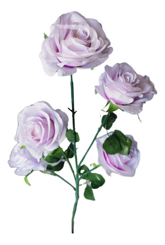 Ramo 5 Rosas Decora Con Encanto Jardín Hogar Oficina Eventos