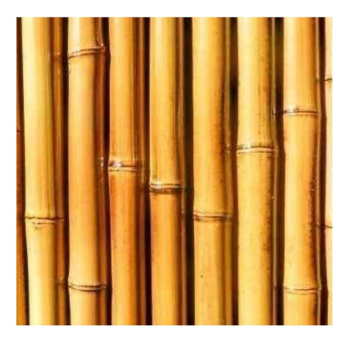 Paq 40 Varas Otate Bambú 1.4 Mt Alto 3-4cm Diametro Artesana