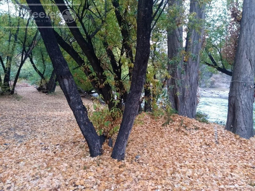 Imagen 25 de 30 de Chacra En Bariloche Sobre El Río Limay - Pesca Patagonia