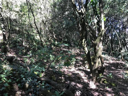 Imagen 2 de 6 de Terreno En Venta, Cuajimalpa De Morelos, Ciudad De México
