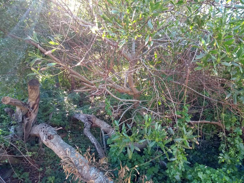 Imagen 2 de 3 de Lote En Mar Azul