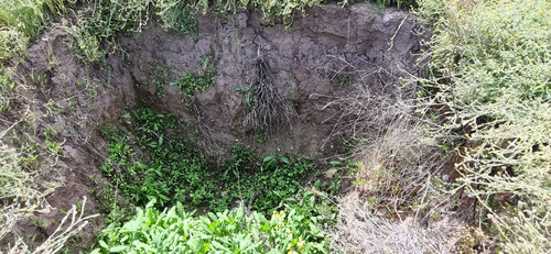 Parcela En Calera De Tango Con Derechos De Agua Inscritos