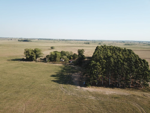 Campo En Venta 180 Hectáreas Mixtas, Gualeguaychú.