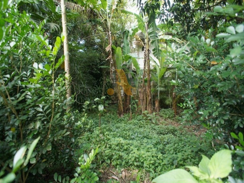 Imagem 6 de 17 de Terreno Em Vargem Grande - Est. Bandeirantes - Sqa0398j - 31971984