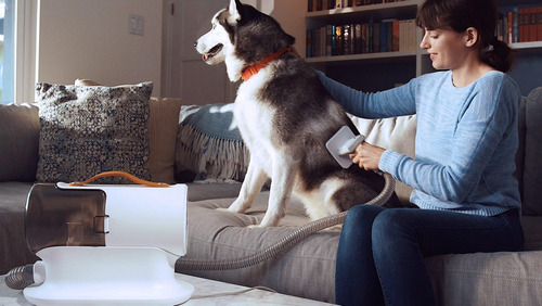 Aspirador Para Cães Airrobo Pg100 12kpa Com 5 Ferramentas 2l