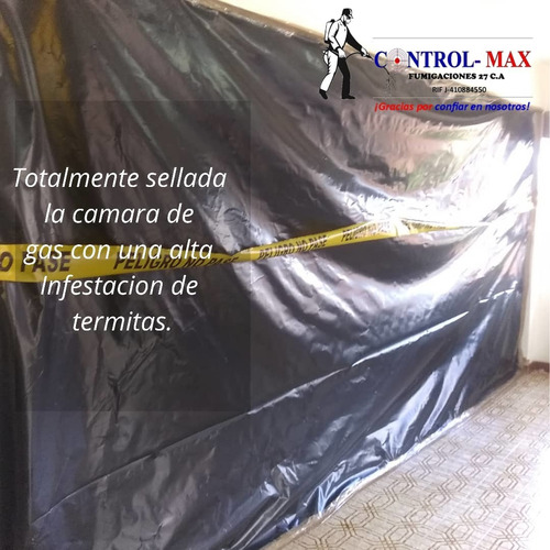 Imagen 8 de 10 de Servicio De Fumigacion Chiripas Cucarachas Pulgas Termitas