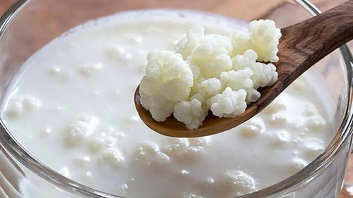 Kefir, Yogurt De Pajaritos