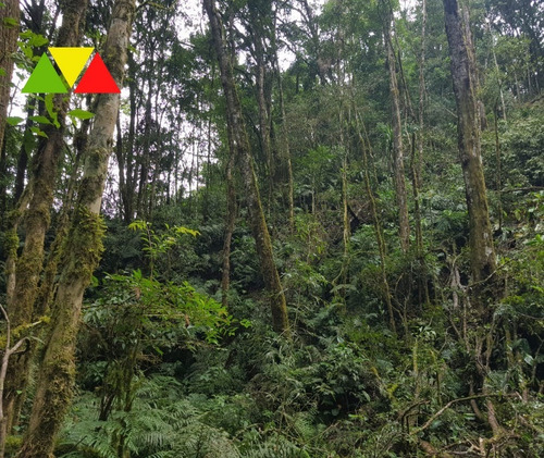 Imagem 10 de 22 de Chácara Serrinha - Ch00099 - 34982957