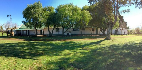 Fazenda Com 11.059 Hectares Em Paysandú - Uruguai