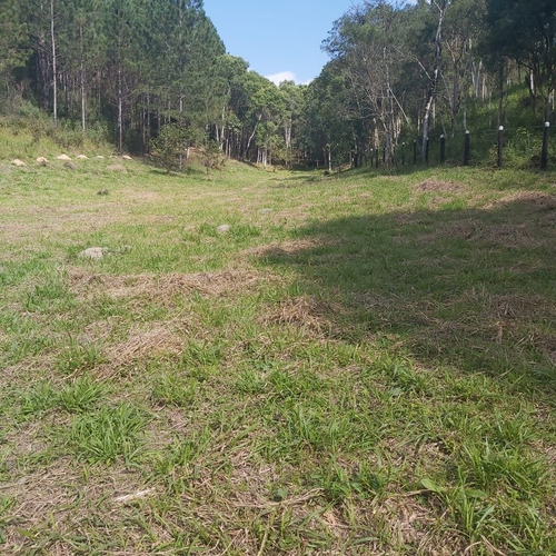 Imagem 10 de 12 de Terreno Em Juquítiba Sp 5 Mil Metros