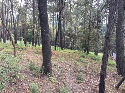 Imagen 6 de 7 de Tva150 Terreno En Venta