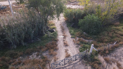 47 Hectareas De Campo Con Gran Frente En Ruta Nacional 40 (acceso Sur) Ugarteche Lujan De Cuyo