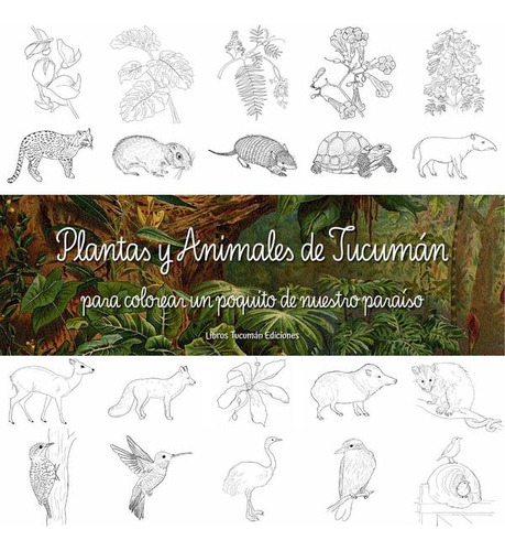 Plantas Y Animales De Tucumán, De María Constanza Toro