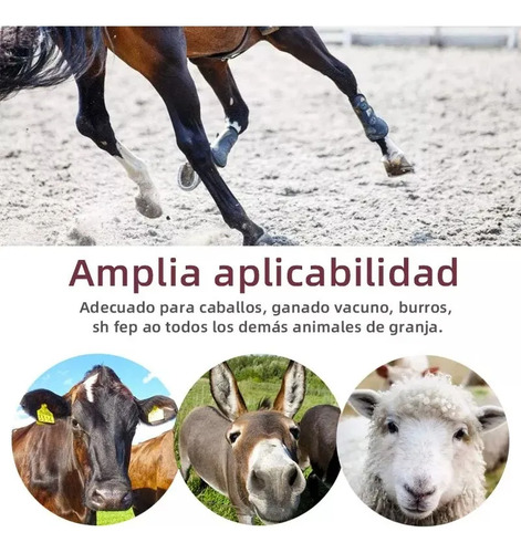 Kit De Herramientas Para Herrar Caballos - Pinza Para Cascos