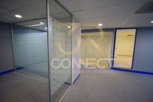 Oficina En Renta En Anzures 6c/2b/1e - Excelente Ubicación - 178m2