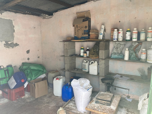 Exte. Viñedo En Producción Con Bodeguita En Montevideo