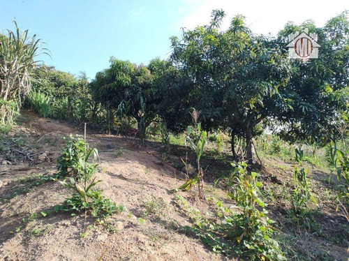 Imagem 23 de 24 de Linda Chácara Com 2 Dormitórios, Piscina, Jardim, Pomar, À Venda, 5523 M² Por R$ 380.000 - Zona Rural - Pinhalzinho/sp - Ch1230