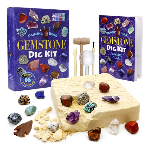 Kit De Excavación Dancing Bear Gem Dig Excavate 16 Gemas Y C