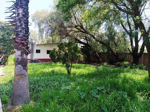 Propiedad En Renta/venta Camino A San Jose De Los Mendoza San Juan De La Vega Celaya
