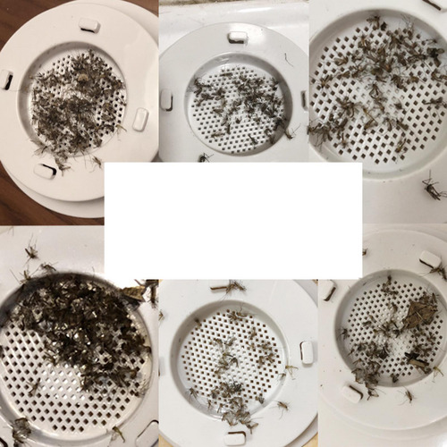 Lámpara Eléctrica Para Matar Mosquitos, Moscas De Carga