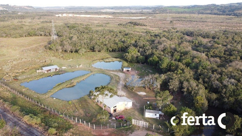 Imagem 2 de 15 de Chacara Com Casa - Rodeiozinho - Ref: 743 - V-743