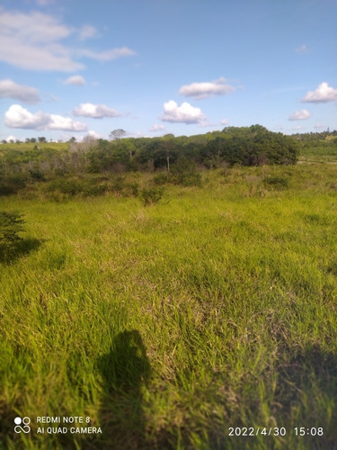 Imagem 4 de 4 de Área Para Sítio Ou Chácara Com Rio Dentro