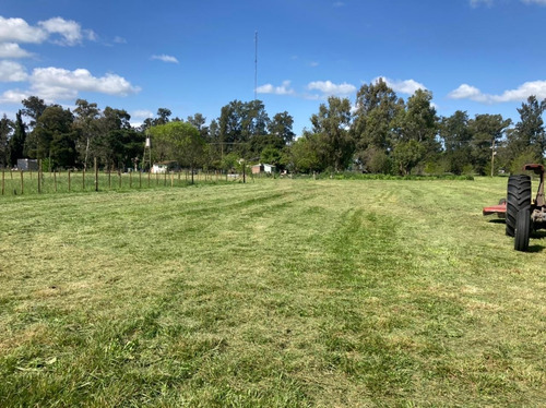 Imagen 3 de 6 de Terreno En Venta En Cañuelas