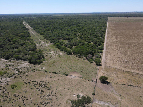 Imagen 21 de 30 de Campo Ganadero 3220 Ha - ( 420 Agrícolas ) Reconquista - Prov. De Santa Fe