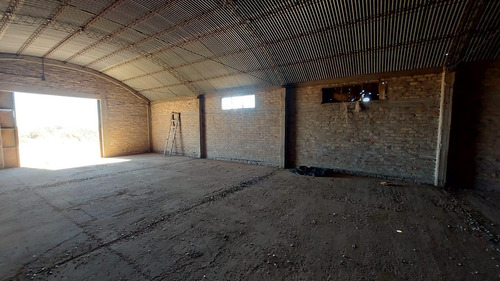 Campo En Venta En Las Catitas, Santa Rosa, Mendoza