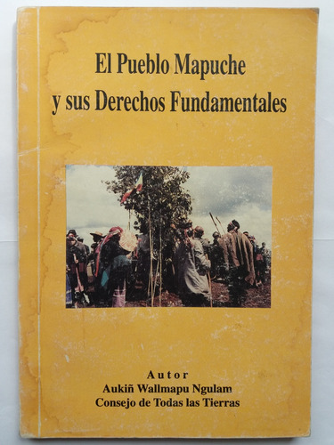 Libro: El Pueblo Mapuche Y Sus Derechos Fundamentales