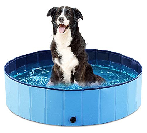 Jasonwell Piscina Plegable Para El Bano De Mascotas, De Perr