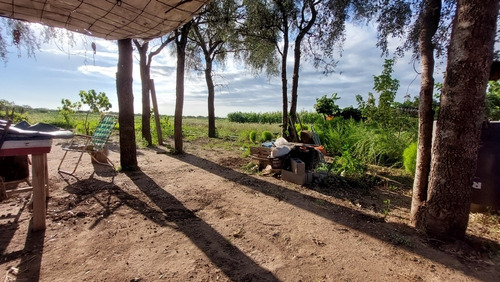 Imagen 11 de 14 de Campo De 100 Hectáreas En Venta - Villa De Soto