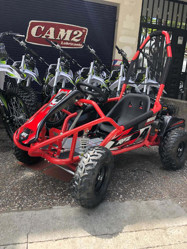 Go Kart Mini Kart Cuatrimoto Karting