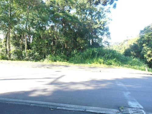 Imagem 3 de 15 de Terreno Para Venda Em Quatro Barras, Jardim Orestes Thá - Te-029_2-171078