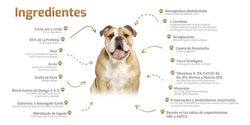 Imagen 2 de 3 de Alimento Bokato Perro Adulto Alto Proteinas 20kg